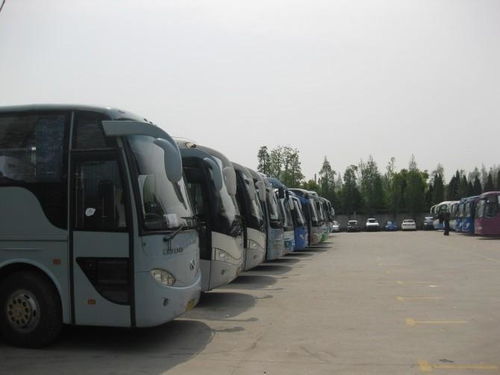 鄭州四海租車 專業(yè)大巴婚慶及商務(wù)汽車租賃服務(wù)